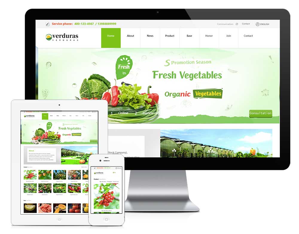 外贸询盘 X042（水果蔬菜）