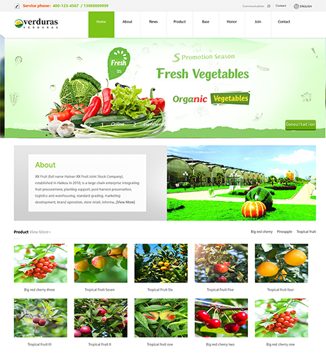 外贸询盘 X042（水果蔬菜）