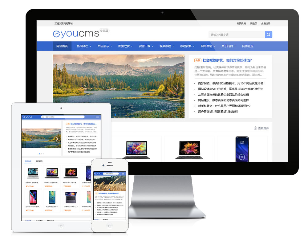 响应式多功能电子商务网站模板预览图2